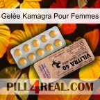 Gelée Kamagra Pour Femmes 41